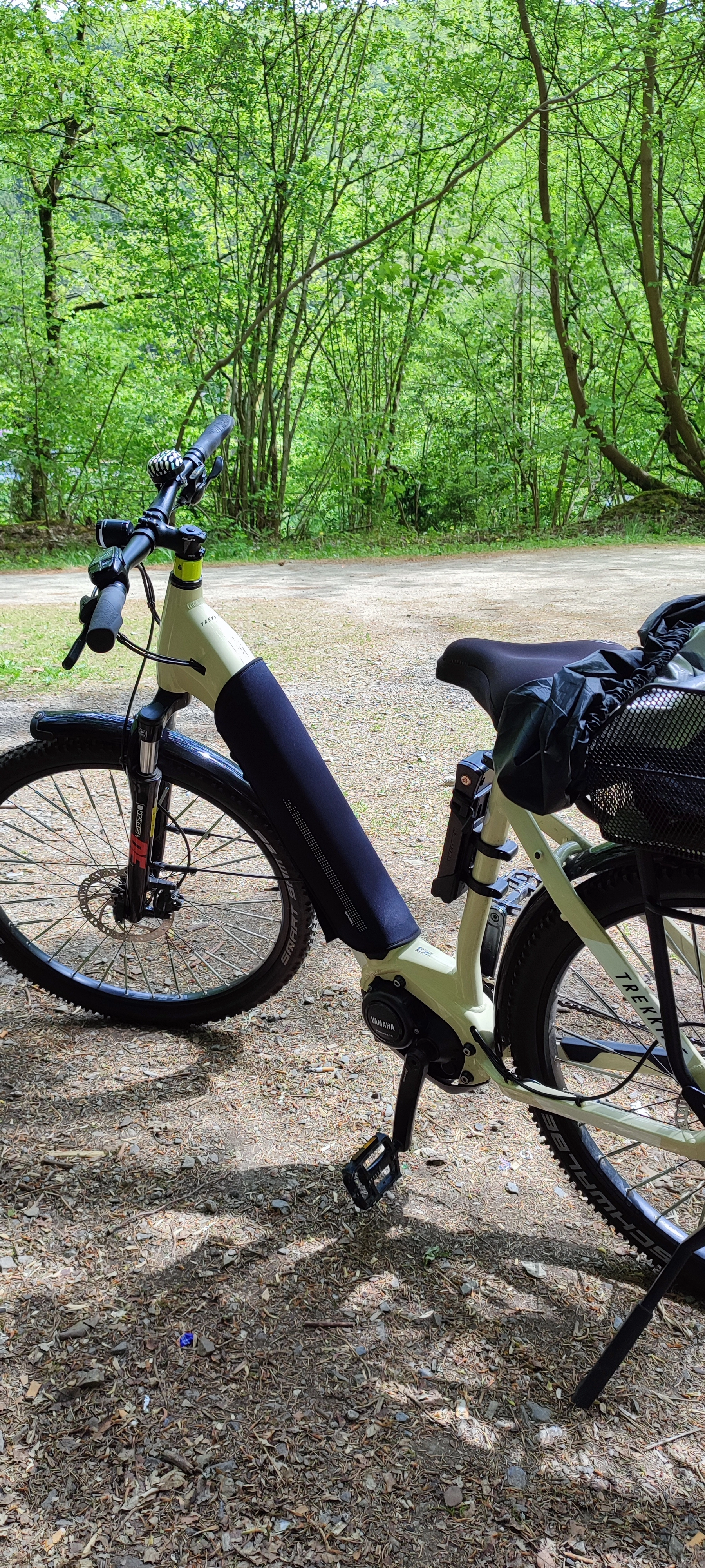 Ein E‑Bike mit Gepäck steht auf einem Waldweg zwischen grünen Bäumen.